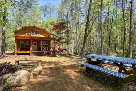 Hiker’s Haven: Cherokee National Forest Retreat! image 22