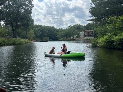Lake view