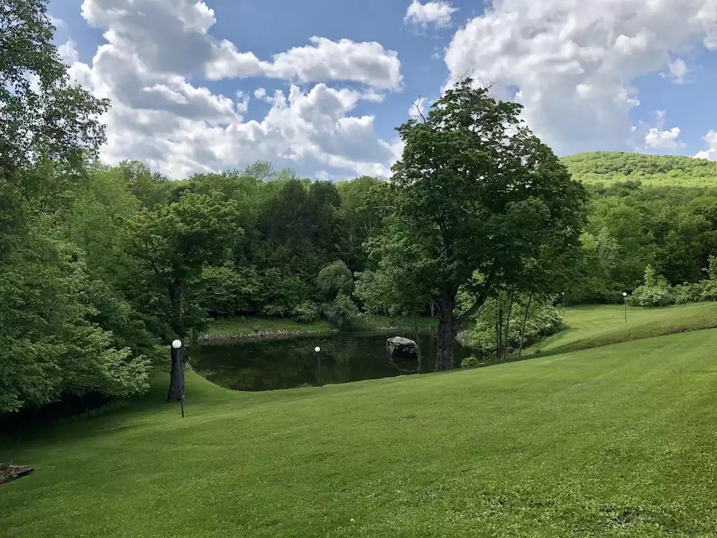 NEWLY REMODELED FOUR BEDROOM CONDO - Greene County NEWLY REMODELED FOUR BEDROOM CONDO - Greene County