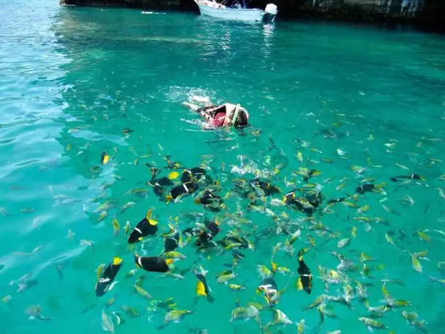 Try some snorkeling and be amazed by the beautiful tropical fish