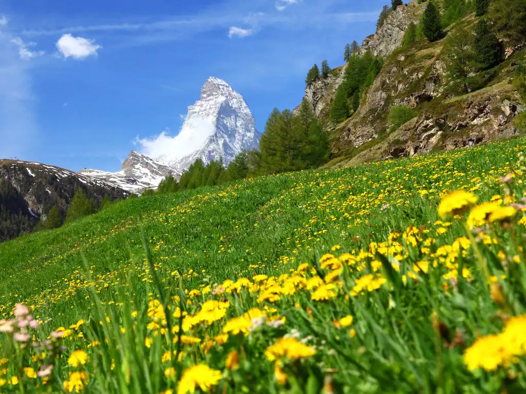 Rütschi - Zermatt