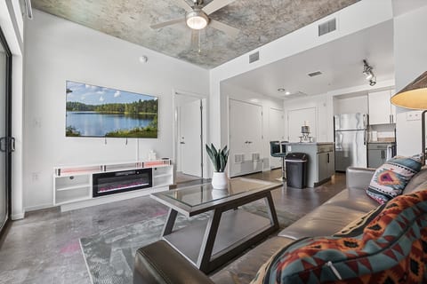 TV and Fireplace