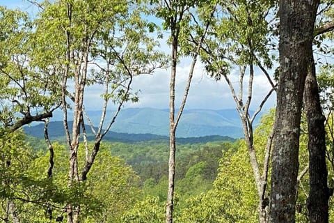 Beautiful Mountain Views