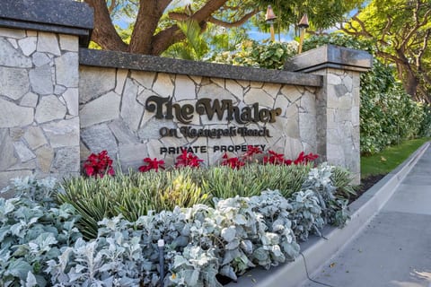 Whaler 508