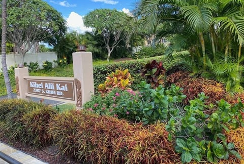Kihei Ali'i Kai D-207