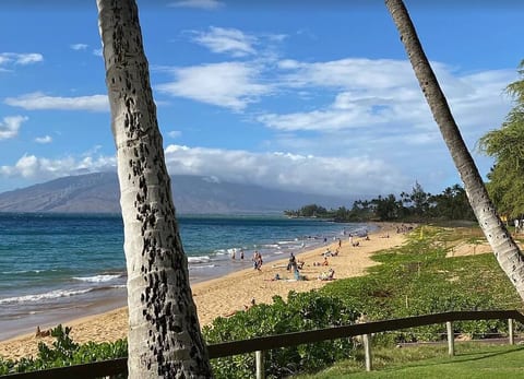 Kihei Ali'i Kai D-207