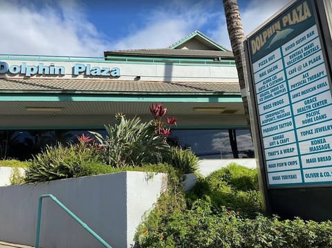 Kihei Ali'i Kai D-207