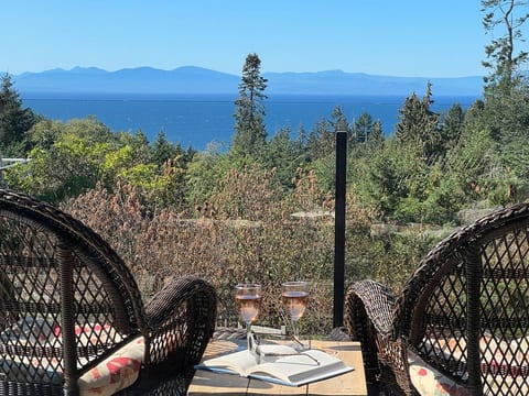Beautiful Ocean & Sunset View Cottage, AC, Hot tub