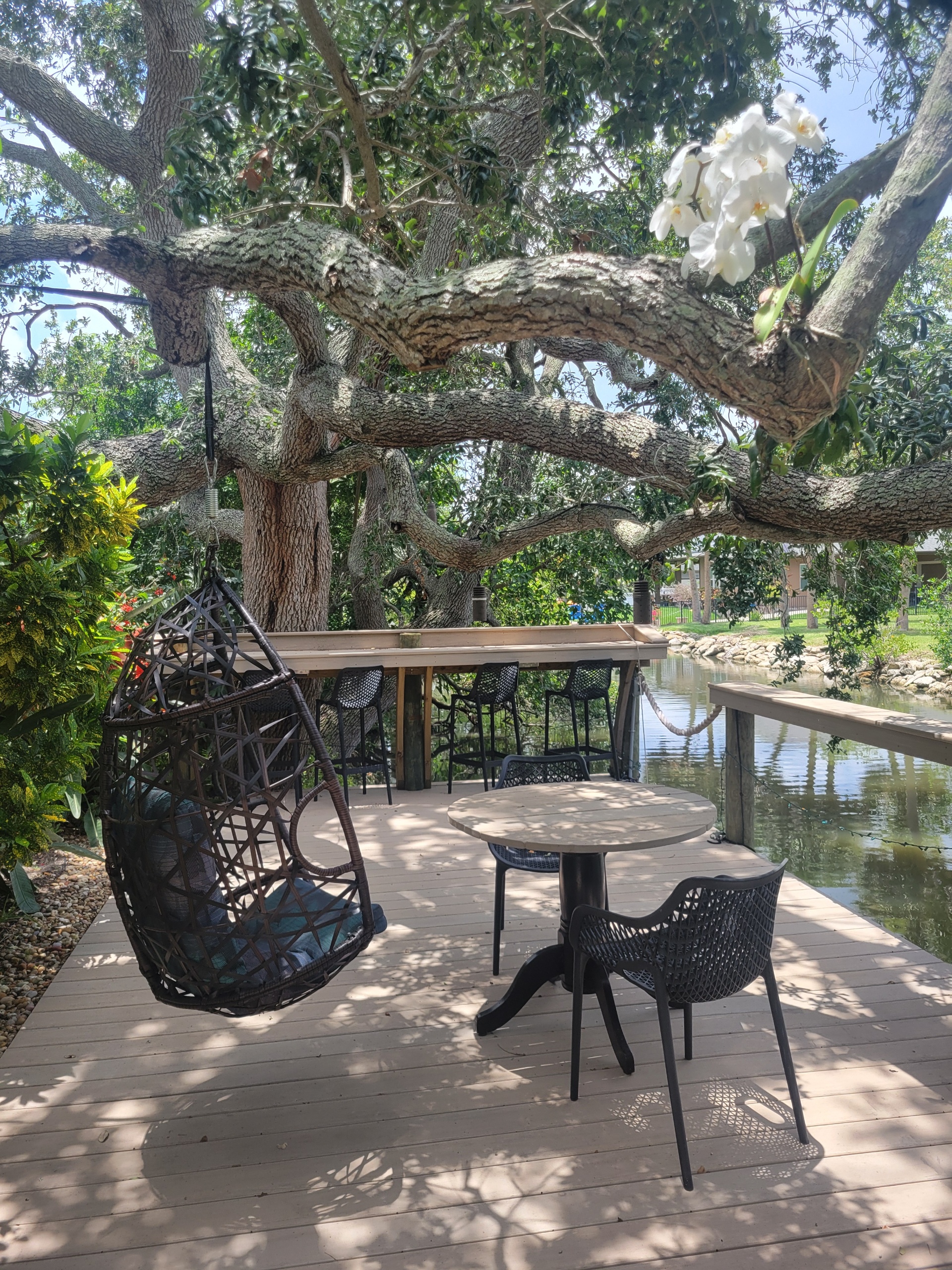 Expansive dock where you can relax, fish, spot manatees and dolphins