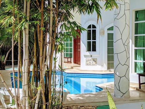 25 Guests 1 min walk to Beach + Quinta Ave Pool