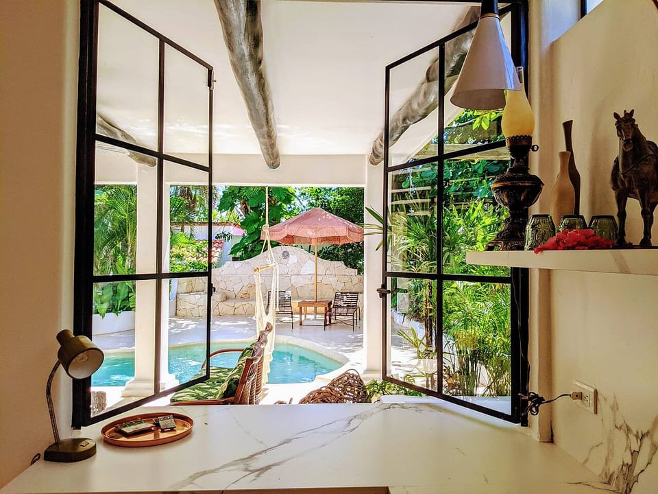 Frech window bar pass through to the pool