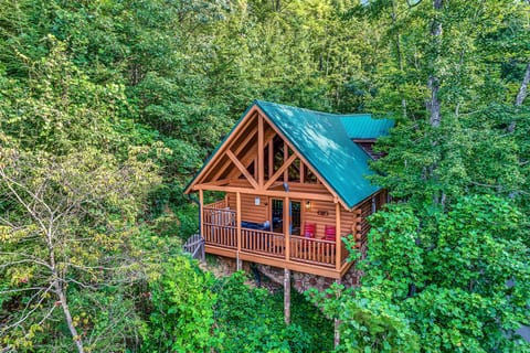 Secluded log cabin retreat with covered deck in a lush forest setting