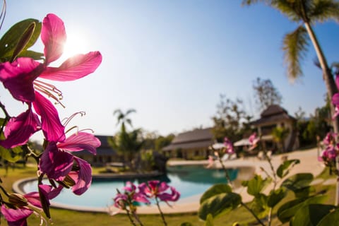Exclusive Private Resort Mountain View | Sleeps 36