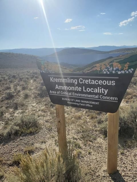 The fossils found here are the largest specimens of this Cretaceous group known in North America -- fossils of giant ammonites, nautiloids, bivalves, gastropods, all over 72.5 million years old!