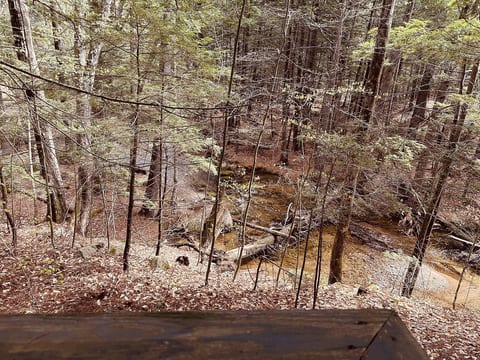 Riverfront Rustic Getaway - North Conway