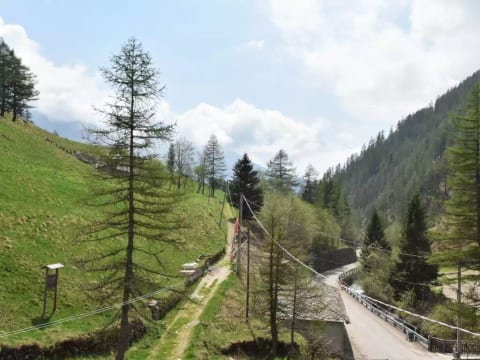 Nido dello Stelvio