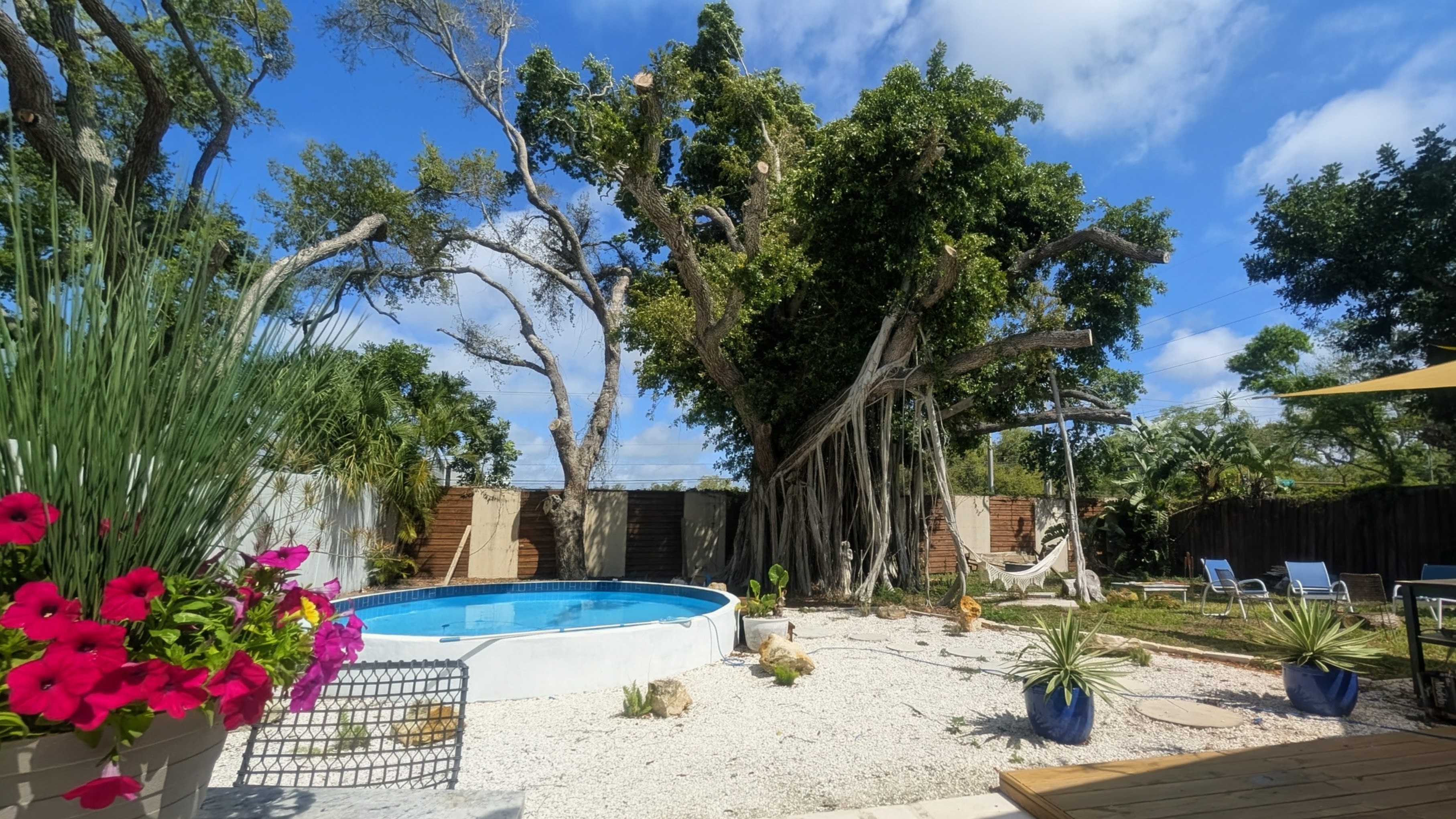 Paradiso Banyan