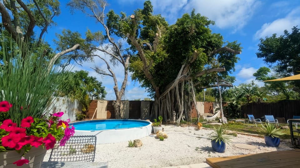 Paradiso Banyan - Sarasota