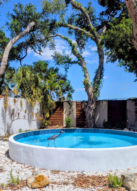 Paradiso Banyan