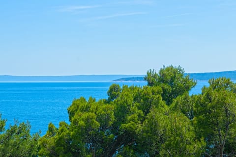Apartments and Rooms Apartmani Brela 1 - Unit 378744-13