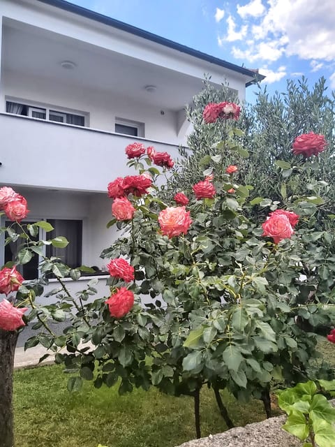 Apartment Rose Garden - Unit 378751-13