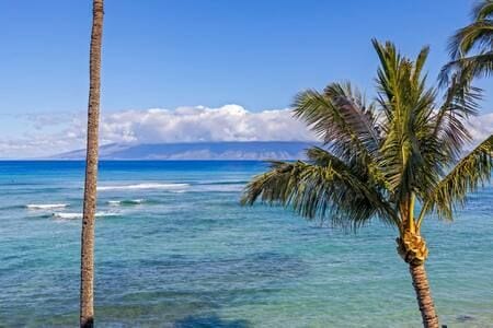 Hale Mahina A301