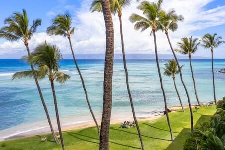 Hale Mahina B403