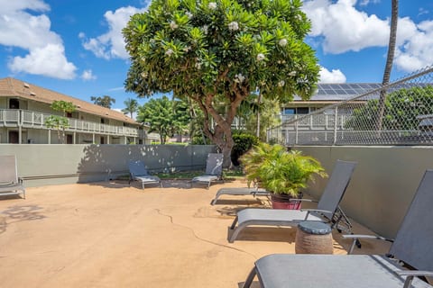 Kihei Bay Surf 140