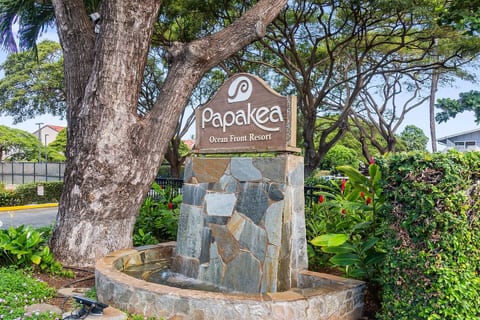 Papakea Resort K301