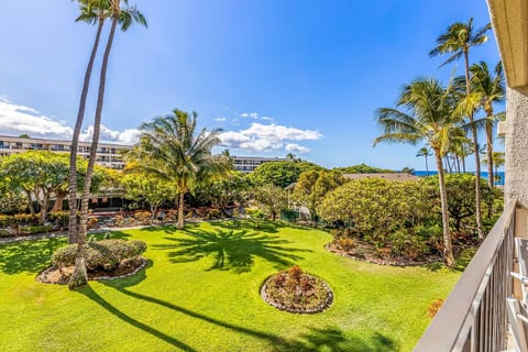 Kihei Akahi C418