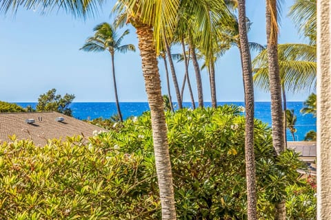 Kihei Akahi C418