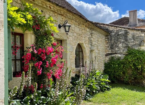 La Fleur de Savignac - 1 bd, views, pool, Wifi