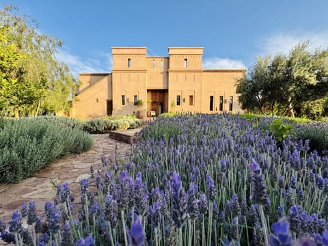 Luxury Kasbah Villa | 15m Pool, Staff, 20 mins Marrakech
