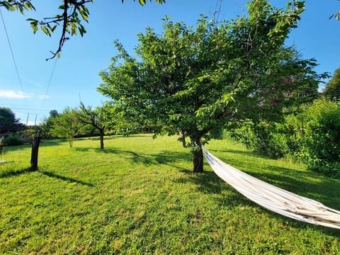 Charming cottage: pool, air-con, views and super fast WiFi