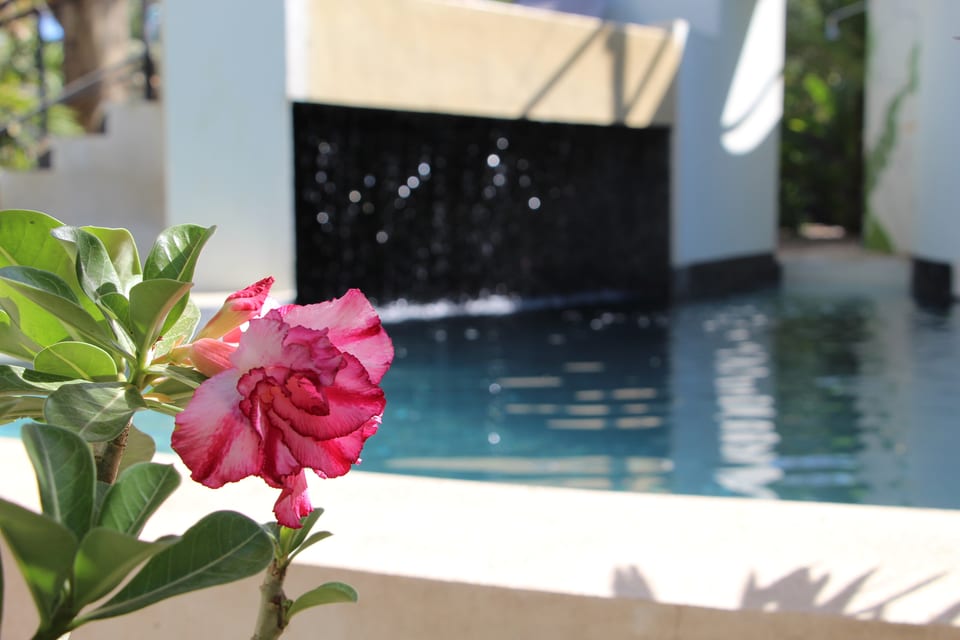 Lovely villa near beach - Santa Cruz