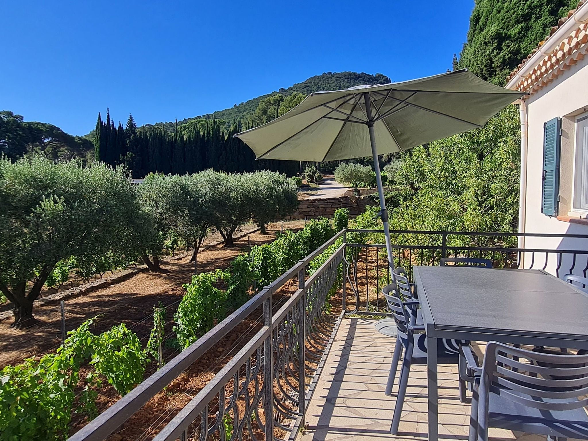 Terrace