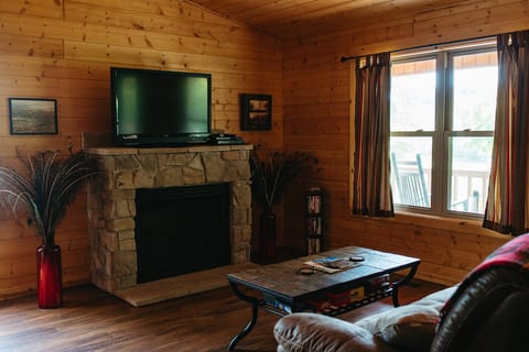 Living Room Fireplace