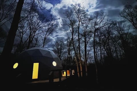 View of the night sky from the dome