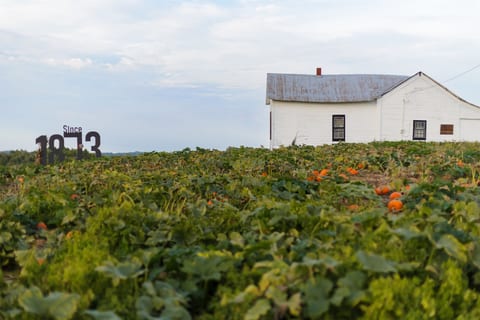 Peaceful surroundings on 150+ year old farm
