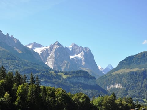 HasliRent, Eiger, (Hasliberg Reuti),