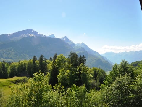 HasliRent, Eiger, (Hasliberg Reuti),