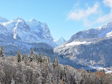 HasliRent, Gärbi 2, (Hasliberg Reuti),