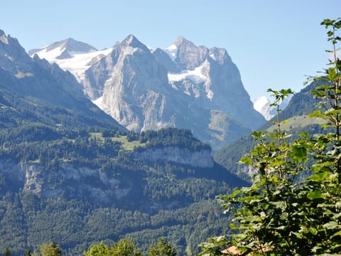 HasliRent, Resti, (Hasliberg Reuti),
