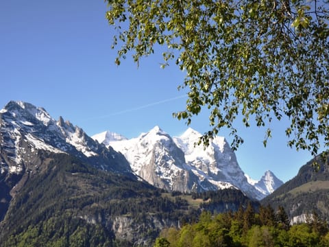 HasliRent, Stubeli, (Hasliberg Reuti),