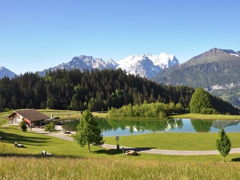 HasliRent, am Bach, (Hasliberg Reuti),