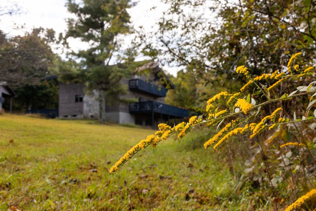 The Lodges at Buffalo Mountain