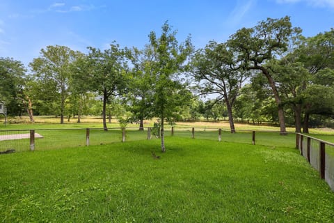 Spacious fenced yard with mature trees and peaceful park-like views