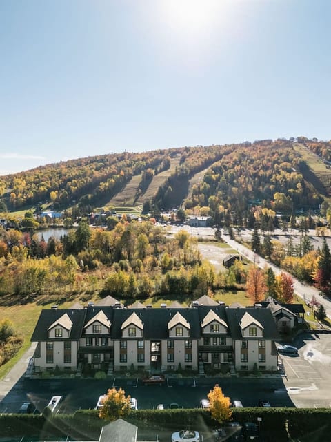 Condo 2 bedrooms- Ski in Ski out St Sau #206