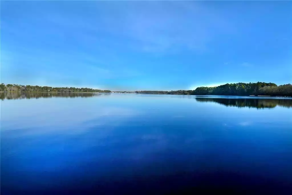 Oasis 15 minutes from Disney - Davenport