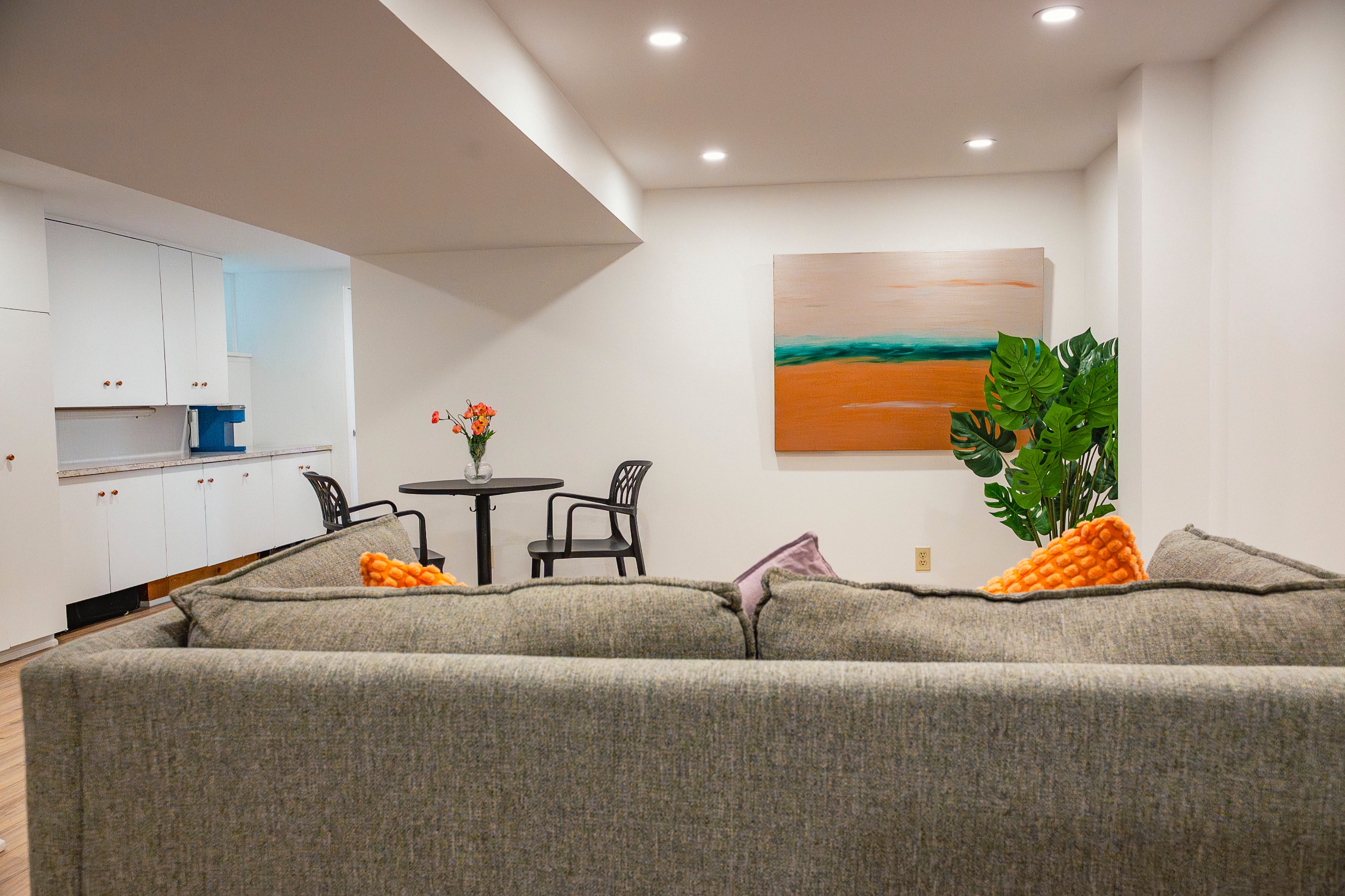 Newly Renovated Toronto Suite Near Subway